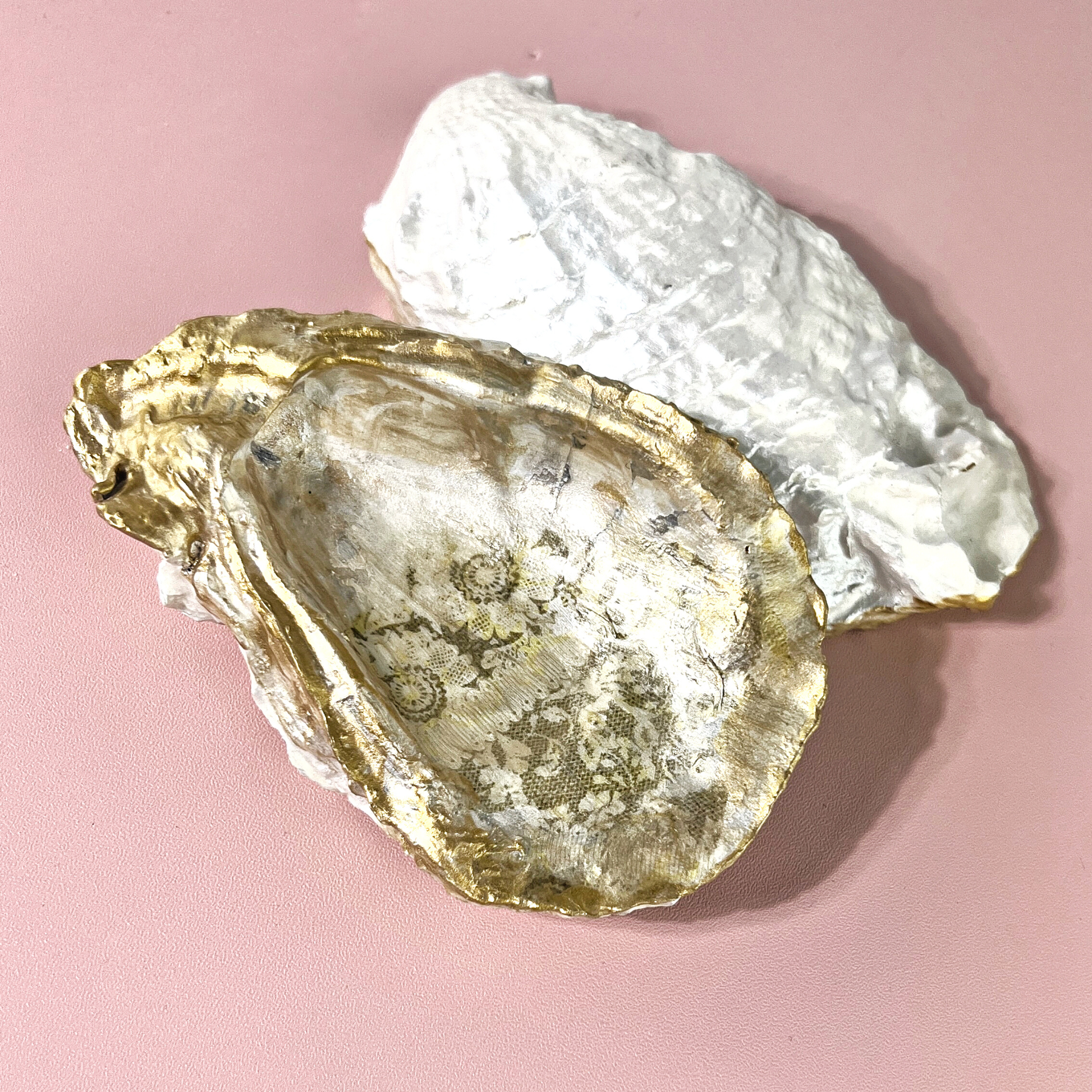 pearl painted oyster shell