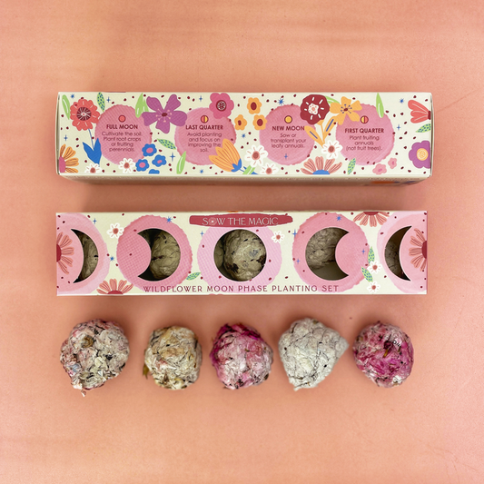 Moon Phase Wild Flower Seed Ball Gift Box